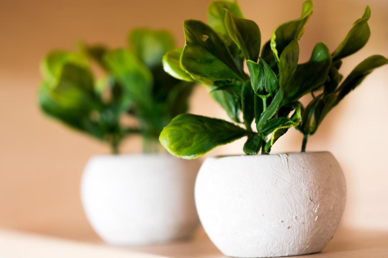 Vila Aleka Néoi Póroi Ngoại thất bức ảnh