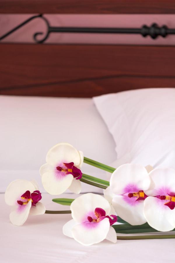 Vila Aleka Néoi Póroi Phòng bức ảnh